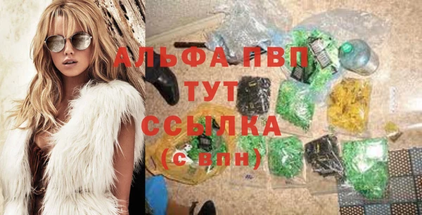 спиды Аркадак