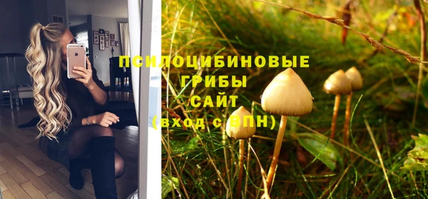спиды Аркадак