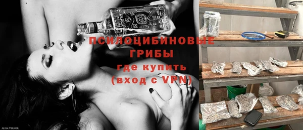спиды Аркадак