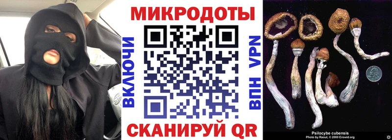 kraken зеркало  Славск  Галлюциногенные грибы Psilocybe 