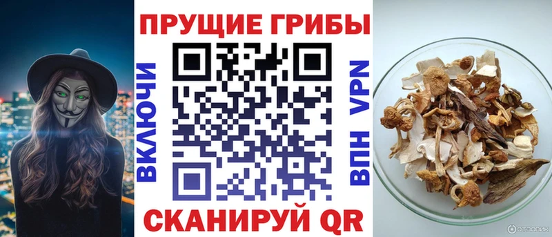 Галлюциногенные грибы ЛСД Славск