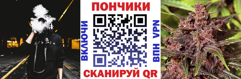 Канабис планчик  hydra ONION  Славск 
